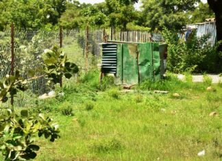 Exploitation artisanale de l’or à Kaya-Kaforo : les filons d’un orpaillage plus vert et organisé