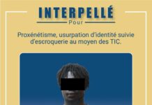 Lutte contre la cybercriminalité: un présumé proxénète-cyberescroc interpéllé