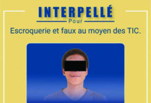 Lutte contre la cybercriminalité : un présumé auteur de production de fausses cartes grises à l’aide de l’IA interpellé