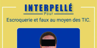 Lutte contre la cybercriminalité : un présumé auteur de production de fausses cartes grises à l’aide de l’IA interpellé