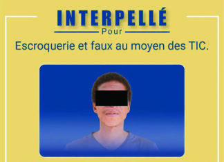 Lutte contre la cybercriminalité : un présumé auteur de production de fausses cartes grises à l’aide de l’IA interpellé
