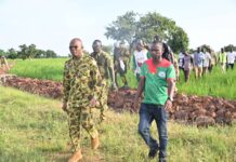Suivi de la campagne agricole humide : plus de 332 000 tonnes de céréales attendues dans le Yaadga