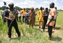 Suivi de la campagne agricole : le ministre Ismaël Sombié mobilise les acteurs du monde rural dans le Nakambé