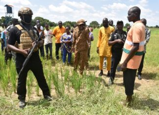 Suivi de la campagne agricole : le ministre Ismaël Sombié mobilise les acteurs du monde rural dans le Nakambé