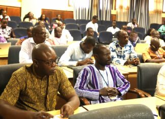 Production de données statistiques : le Burkina 1er en Open data en Afrique de l’Ouest
