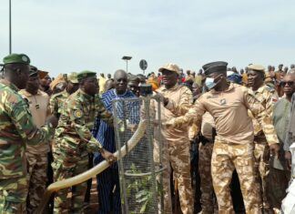 Voie de contournement de Ouagadougou: la brigade Yiri Dɛmɛ lancée pour la protection des arbres