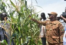 Suivi de la campagne agropastorale 2026-2027 : Le ministre Ismaël Sombié salue la résilience des producteurs à Fada N’Gourma Le ministre chargé de l’agriculture, Ismaël Sombié : >