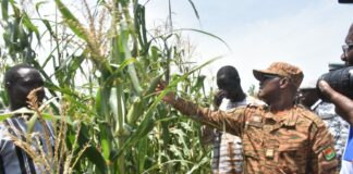 Suivi de la campagne agropastorale 2026-2027 : Le ministre Ismaël Sombié salue la résilience des producteurs à Fada N’Gourma Le ministre chargé de l’agriculture, Ismaël Sombié : >