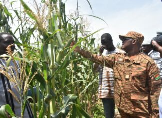 Suivi de la campagne agropastorale 2026-2027 : Le ministre Ismaël Sombié salue la résilience des producteurs à Fada N’Gourma Le ministre chargé de l’agriculture, Ismaël Sombié : >