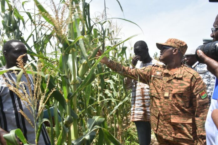 Le ministre chargé de l’agriculture, Ismaël Sombié : >