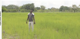Campagne agricole humide: une bonne physionomie dans les Tannounyan