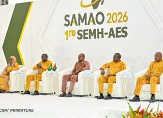 𝐌𝐢𝐧𝐞𝐬 𝐞𝐭 𝐞́𝐧𝐞𝐫𝐠𝐢𝐞 𝐝𝐚𝐧𝐬 𝐥’𝐀𝐄𝐒 : 𝐥𝐚 𝐒𝐀𝐌𝐀𝐎 𝐞𝐭 𝐥𝐚 𝐒𝐄𝐌𝐇-𝐀𝐄𝐒 𝐩𝐨𝐮𝐫 𝐮𝐧𝐞 𝐦𝐞𝐢𝐥𝐥𝐞𝐮𝐫𝐞 𝐯𝐚𝐥𝐨𝐫𝐢𝐬𝐚𝐭𝐢𝐨𝐧 𝐝𝐞𝐬 𝐫𝐞𝐬𝐬𝐨𝐮𝐫𝐜𝐞𝐬
