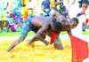 IVe édition des Jeux nationaux de la relève sportive : la jeunesse mobilisée à Bobo-Dioulasso pour l’excellence