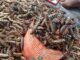 Vente de chitoumou à Bobo-Dioulasso: la pluie fait et défait les prix