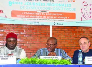 Gynécologie-obstétrique : la santé maternelle au cœur des 9es journées régionales