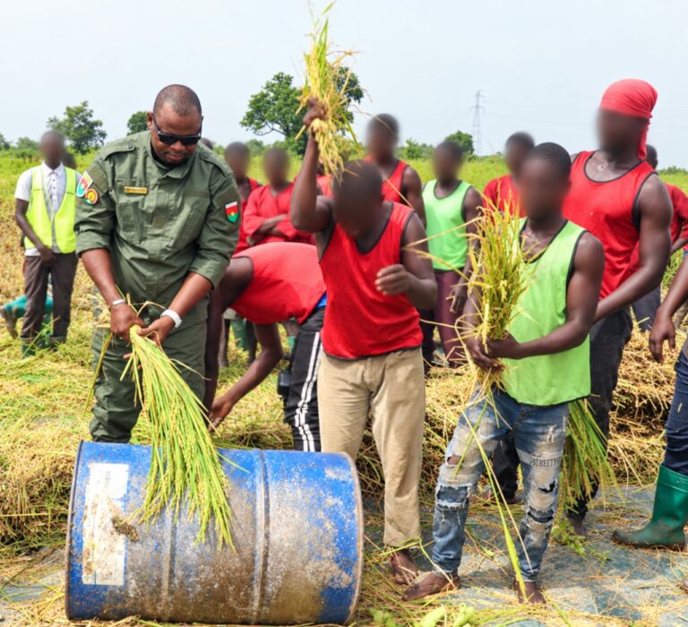 Campagne agricole humide au centre pénitentiaire de Baporo : Pour 500 tonnes de céréales prévues, plus de 1014 tonnes sont attendues