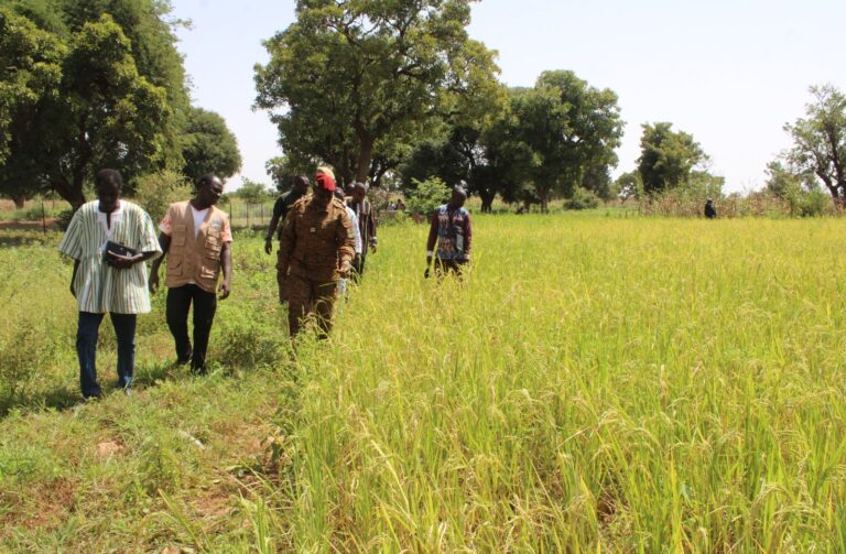 Résilience des femmes rurales : le « champ de la paix » de Gourga, un motif de fierté