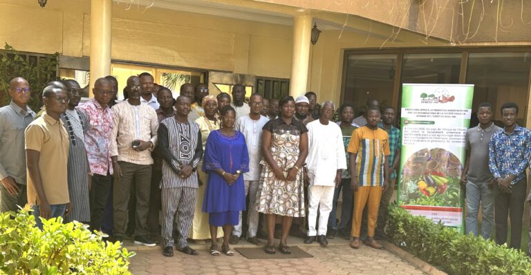 Burkina Faso : un atelier pour renforcer la maîtrise de l’outil ARISTE (AVACLIM)